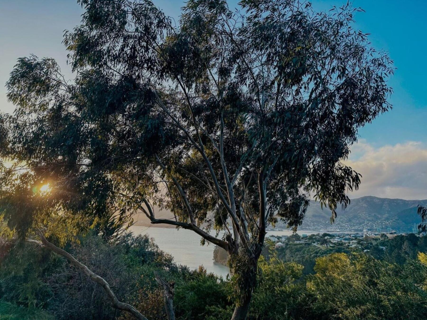 The Outlook By Tiny Away Villa Diamond Harbour Dış mekan fotoğraf